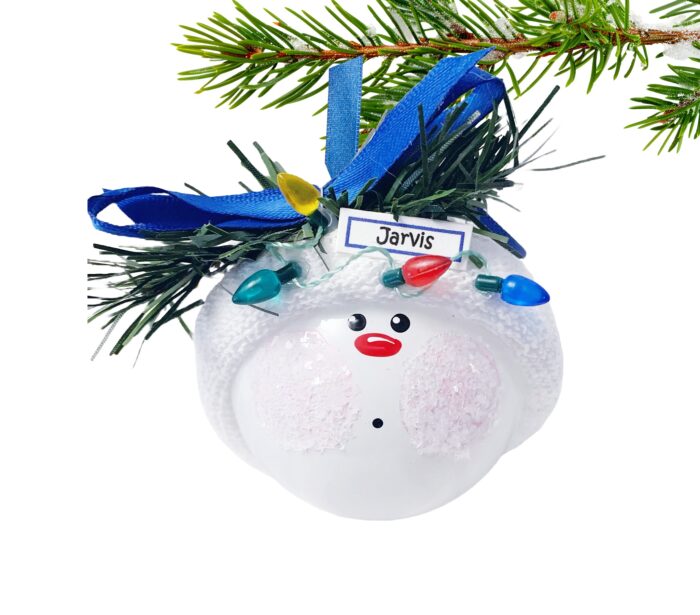 Boy Christmas Ornaments String of Lights