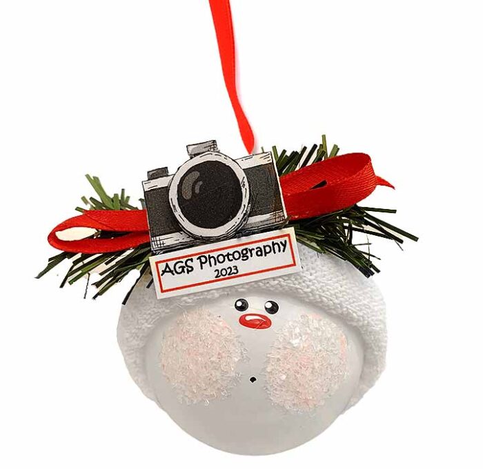 camera-christmas-ornament