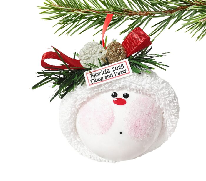 Beach Vacation Souvenir Christmas Gift Ornament Glitter Seashells Sand Dollar Snail